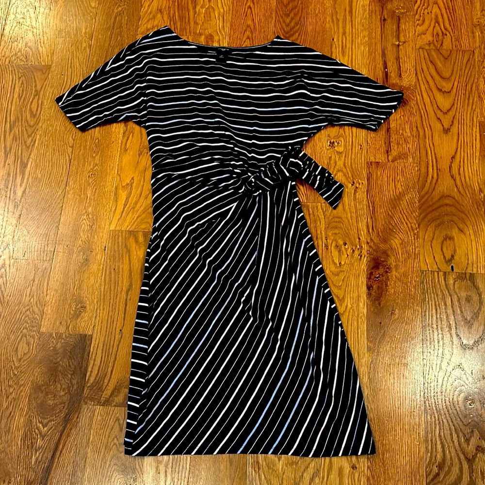 Ann Taylor Striped Dress | Size Small